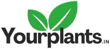 YourPlants.in
