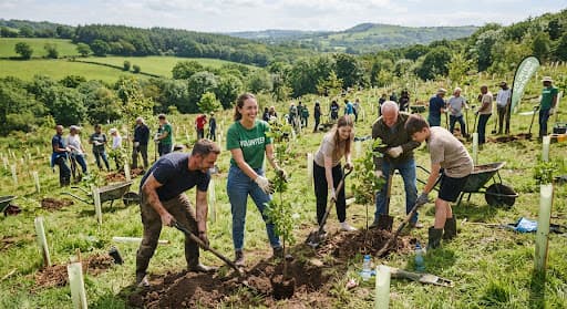 Volunteers planting trees